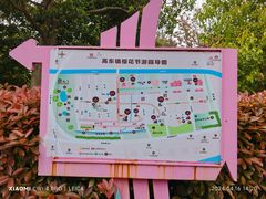 -高东镇樱花园