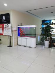 -成都军建医院·疤痕诊疗中心