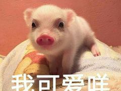 -虾吃虾涮.虾火锅.肉蟹煲(步步高梅溪新天地店)