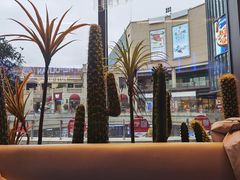 -玛尚诺Pizza&Bar(长泰广场店)
