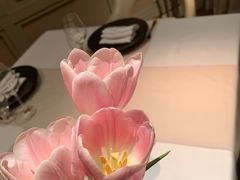 -Oyster Talks 四度蚝法餐厅