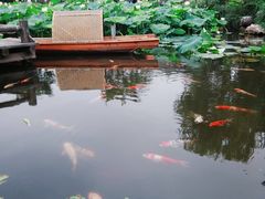 -鹅湖玫瑰文化园
