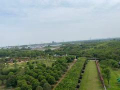 -武汉紫薇都市田园