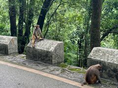 -黔灵山公园