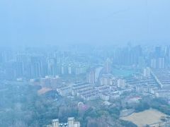 -上海龙之梦万丽酒店