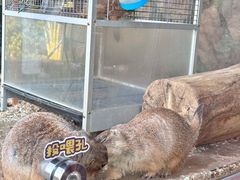-珠海海泉湾神秘岛亲子乐园