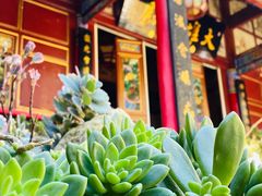 -寂照庵