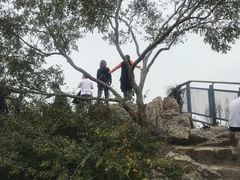 -紫金山山顶公园