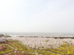 -古柏渡飞黄旅游区