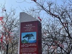 -秦岭终南山世界地质公园翠华山景区