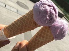 -成裕雪糕店(士多店)