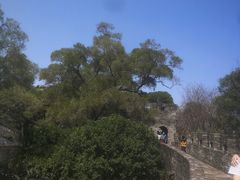 -广州莲花山旅游区