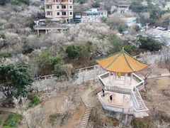 -广州市流溪河国家森林公园