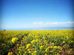 -青海湖国家重点风景名胜区