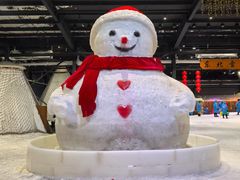 -宁波冰雪大世界(北仑区)