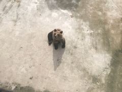 -哈尔滨北方森林动物园