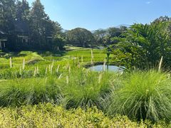 -四季酒店下午茶