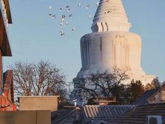 -妙应寺白塔