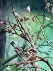 -Zoolung Zoolung动物主题公园(海信广场店)