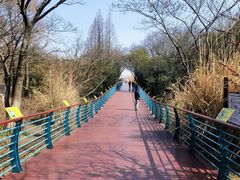 -上海吴淞炮台湾国家湿地公园