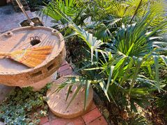-谷咖啡·鲜花绿植花园餐厅