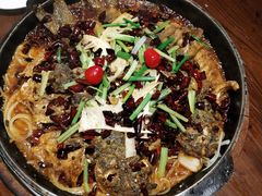 -老板恋上鱼(荣盛广场店)