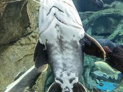 -波塞冬旅游度假区