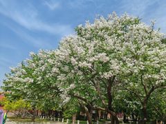 -北京市劳动人民文化宫(太庙)