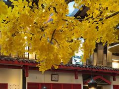 -老灶房-四川土菜(铁牛广场店)