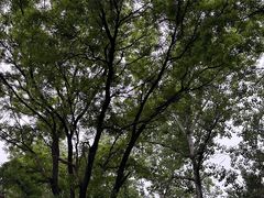 -渭滨公园