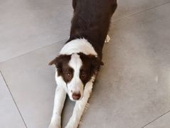 -时间抽屉(裕华万达广场店)