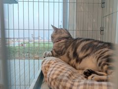 -猫的天空之城概念书店(北戴河蔚蓝海岸店)