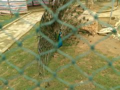 -武汉紫薇都市田园