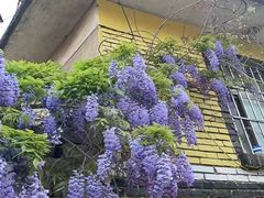 -兰州正宁路智选假日酒店