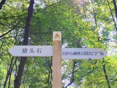 -火炉山森林公园