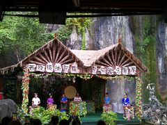 -西双版纳原始森林公园