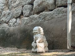 -白水寺森林公园