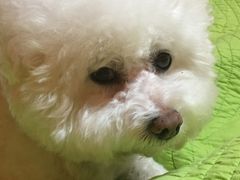 -乐琪宠物(青塔西路店)