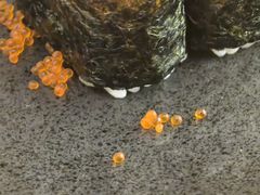 -沼津港精致料理·寿喜烧·烧鸟(青浦宝龙广场日料榜单店)
