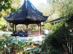 -上海醉白池公园