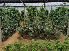 -大连北马山庄