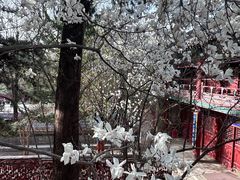 -潭柘寺景区