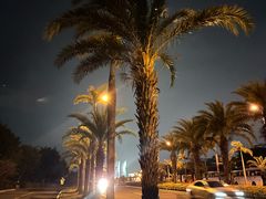 -黄金海岸环岛路