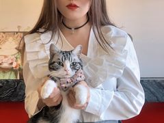 -猫小院猫主题餐厅(南锣旗舰店)