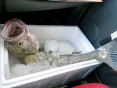 -山东八大碗山东老字号