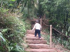 -川西竹海景区