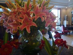 大堂-月亮河温泉度假酒店