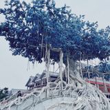 眉山不夜城：东坡印象水街🌞