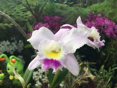 -南通洲际绿博园