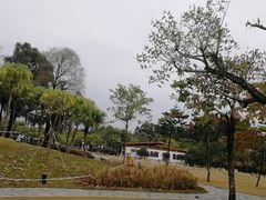 -海珠儿童公园